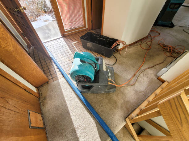 Best 24-hour water damage restoration  in Holiday Island, AR