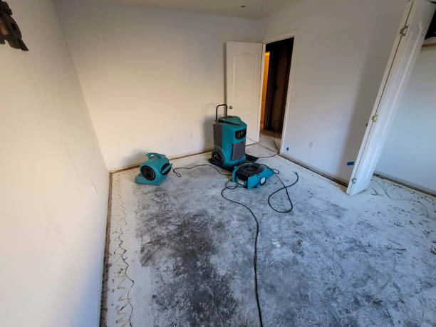 Best Flood restoration services  in Holiday Island, AR