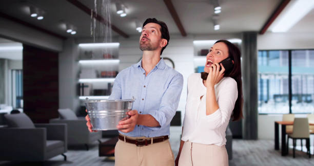 Best 24/7 water damage repair  in Holiday Island, AR