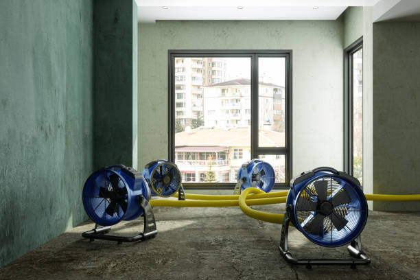 Best Water damage restoration near me  in Holiday Island, AR